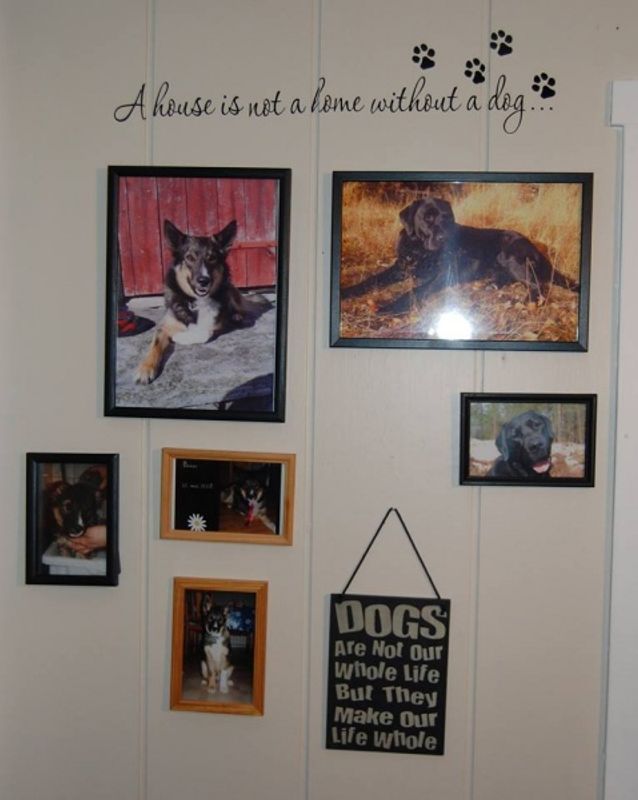 A house is not a home dog