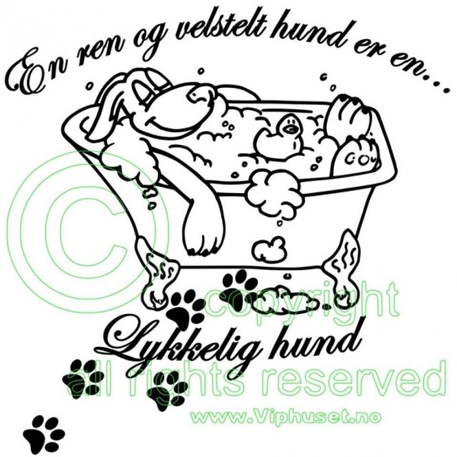 Hovedbilde En ren og velstelt hund