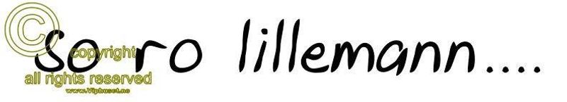 So ro lillemann 2