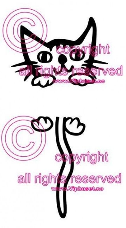 Katt til lysbryter