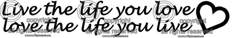 Live the life you love