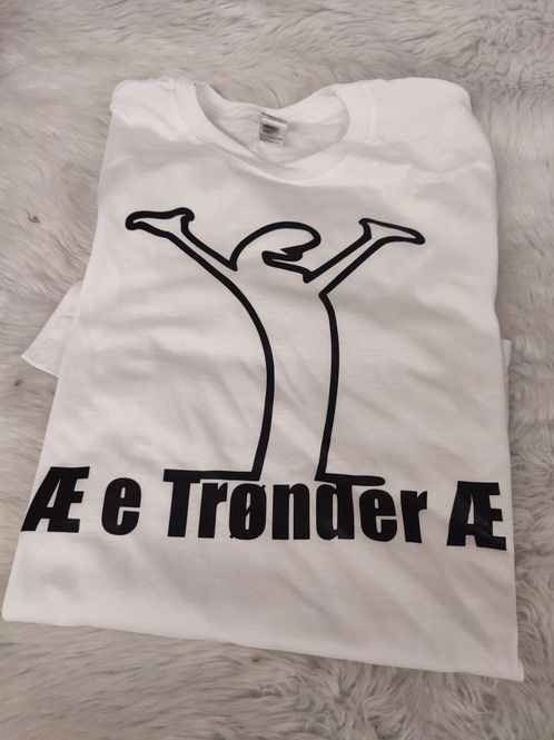 Hovedbilde Streken ~ æ e trønder æ